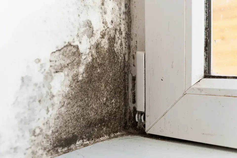Water Damage in Waterford, CA