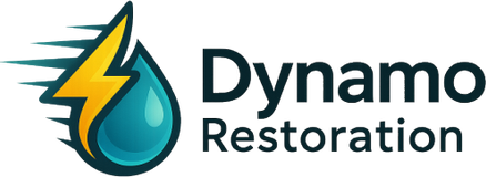Dynamo Restoration